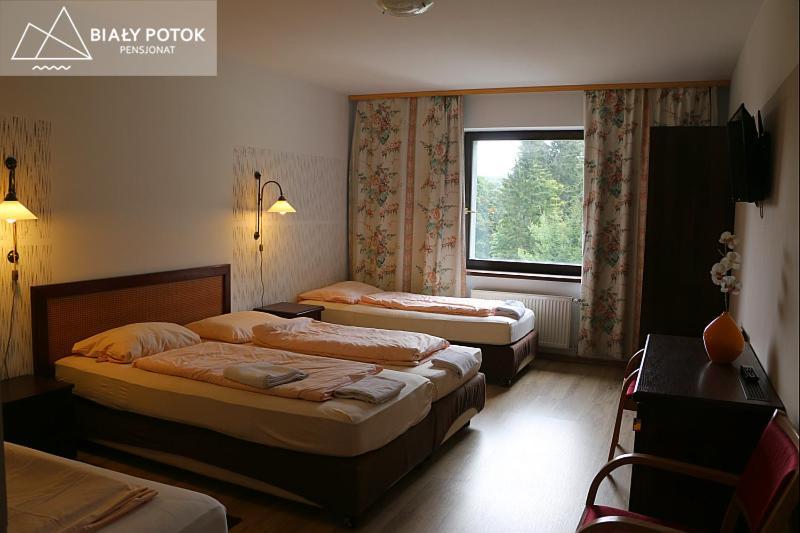 Bialy Potok Bed & Breakfast Zieleniec  Exterior photo