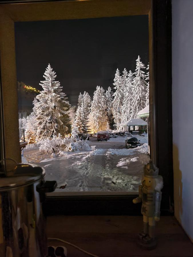 Bialy Potok Bed & Breakfast Zieleniec  Exterior photo